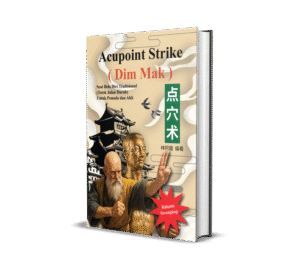 Cover 3D Acupoint Strike Dim Mak PNG 300x277